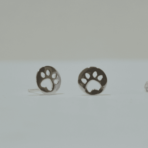 Pendientes plata patita perrito